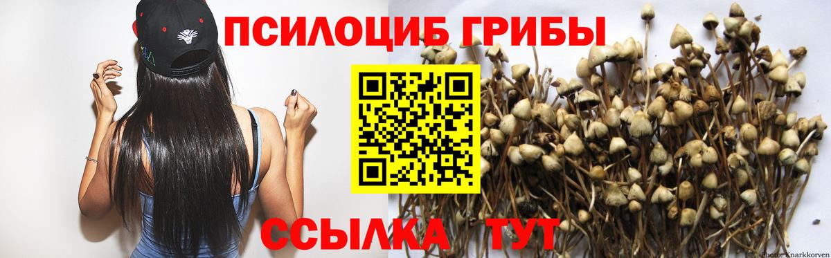 Псилоцибиновые грибы мухоморы Севастополь