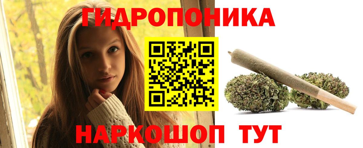 Каннабис Ganja  Вход с VPN  Каннабис планчик  Марихуана AK-47  Севастополь 
